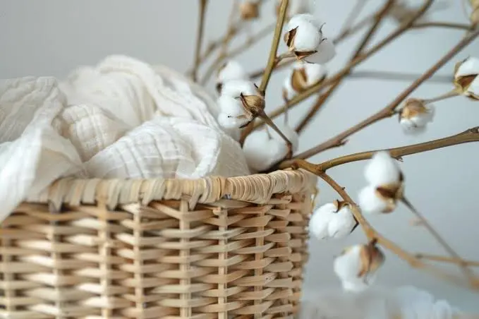 Cotton Bamboo